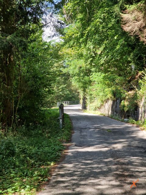 strada-malga-poccet-explorerfvg (2)