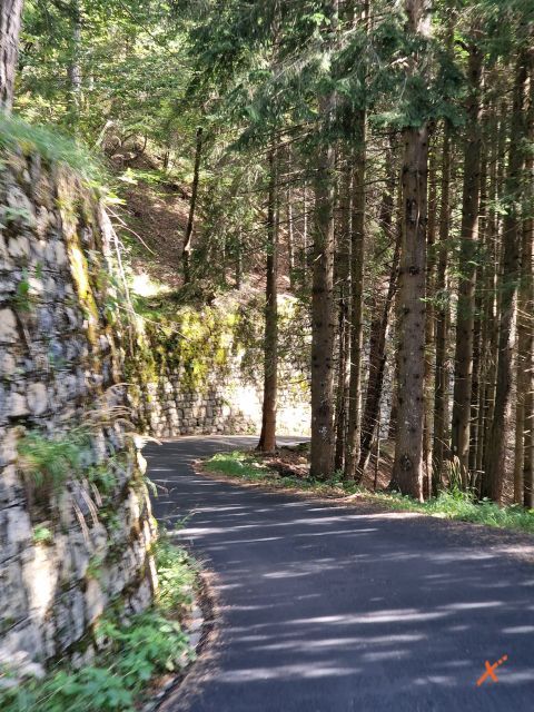 strada-malga-poccet-explorerfvg (4)