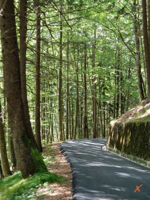 strada-malga-poccet-explorerfvg (6)