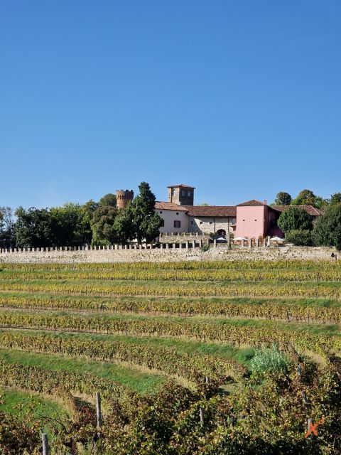 vigne-paesaggio-castello-di-buttrio-explorerfvgù (5)