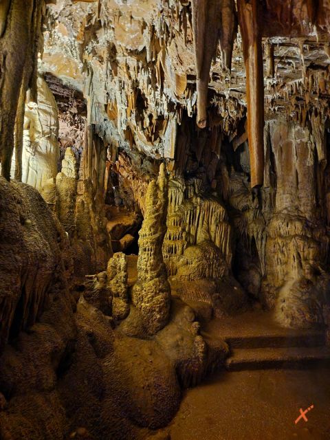 visita-grotta-torri-slivia-explorerfvg (2)