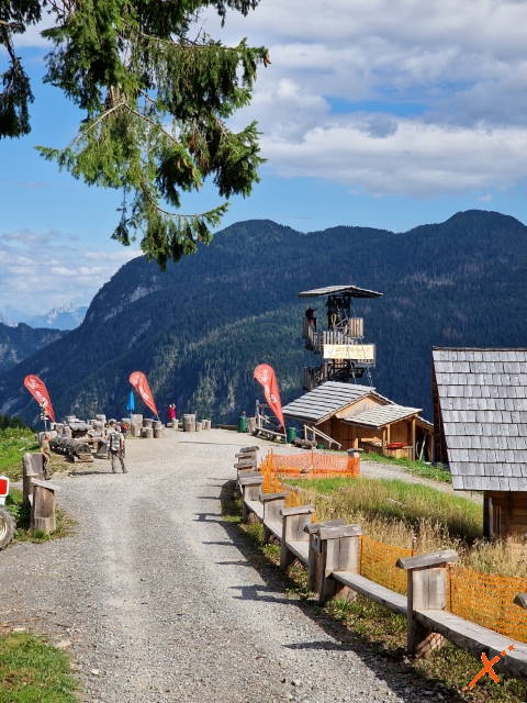 zip-line-sauris-explorer-fvg (4)