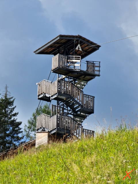 zip-line-sauris-explorer-fvg (8)