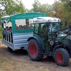 Visita guidata alla Grotta Torri di Slivia con avvicinamento in Agribus