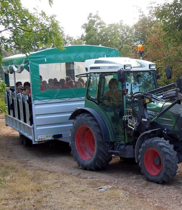 Visit Torri di Slivia Cave with "Agribus" approach near Triest