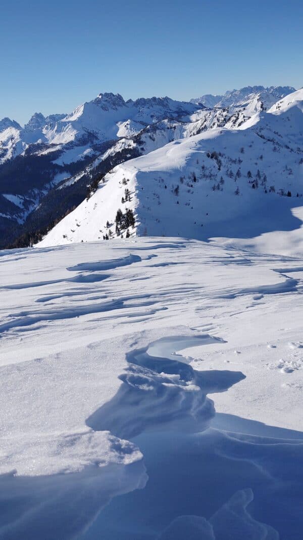 Ciaspolata a Malga Festons da Sauris - immagine 4