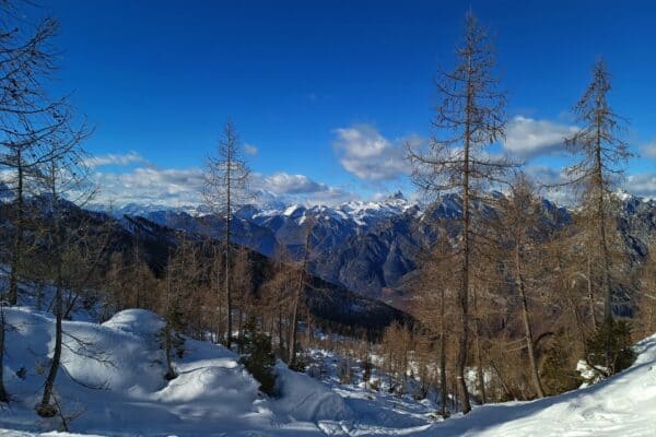 Ciaspolata al Rifugio Pradut in Val Cellina con percorso inedito dal versante settentrionale del Monte Resettum - Image 3