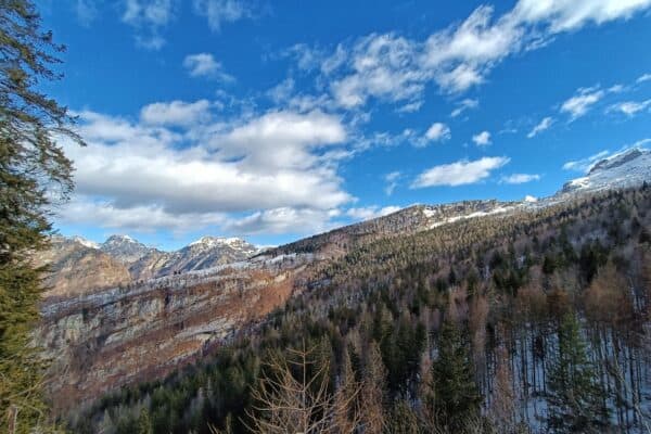 Ciaspolata al Rifugio Pradut in Val Cellina con percorso inedito dal versante settentrionale del Monte Resettum - Image 2