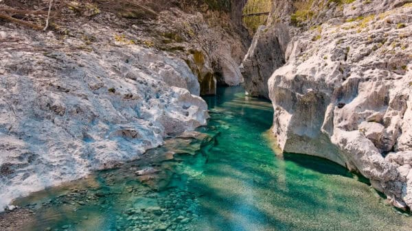 E-Bike Adventure: escursione guidata tra cascate, sorgenti e natura dell'Arzino - immagine 6