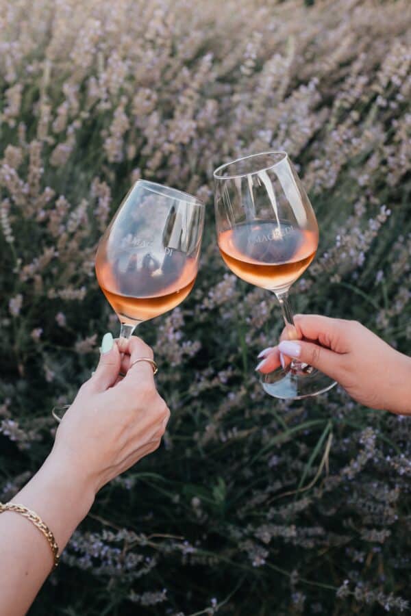 Degustazione completa vini, formaggi e salumi locali e visita presso la cantina I Magredi - immagine 3