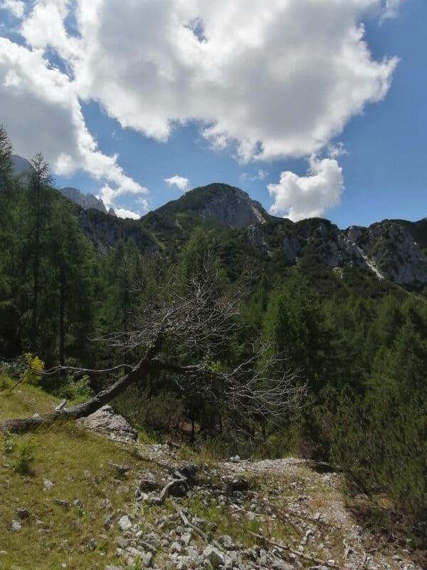 Escursione tra storia, natura e panorami sullo Jof di Sompdogna nelle Alpi Giulie - Image 2