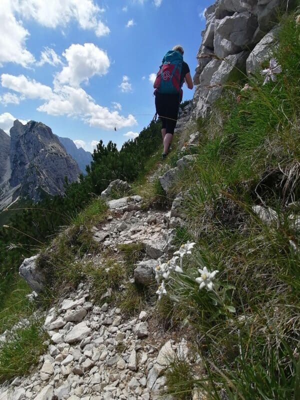 A hike through history, nature and views on Jof di Sompdogna in the Julian Alps