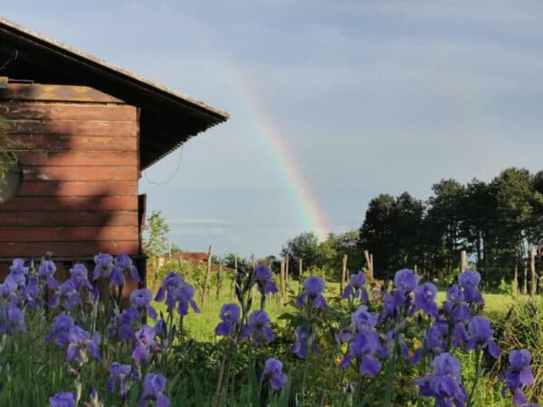 Tour in MTB: sei tappe tra i paesaggi collinari di Fagagna e i sapori locali - immagine 2