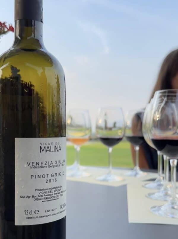 Visita Guidata e degustazione vini presso Vigne del Malina - immagine 3