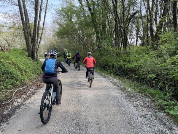 Biotopo dell'acqua caduta: escursione in e-bike tra acque e boschi in zona Pinzano al Tagliamento e Ragogna - Image 5