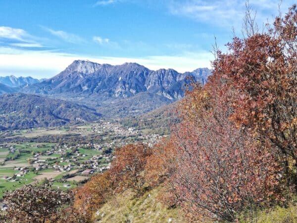 Escursione ad anello sul Monte Valinis: la montagna del volo libero - immagine 3