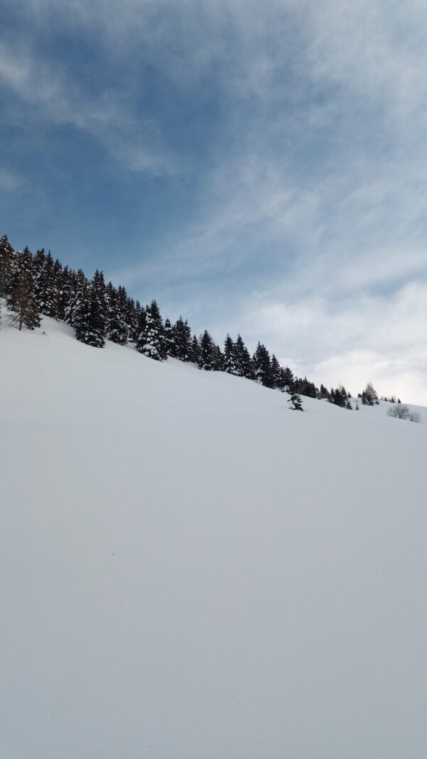Ciaspolata a Malga Festons da Sauris - immagine 3