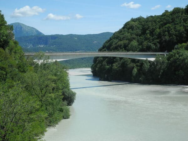 Biotopo dell'acqua caduta: escursione in e-bike tra acque e boschi in zona Pinzano al Tagliamento e Ragogna - Image 4