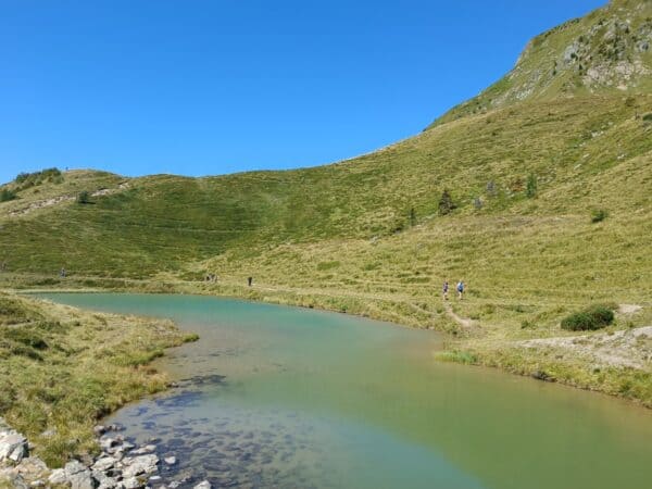 Trekking guidato di 3 giorni lungo la Traversata Carnica con pernottamento in rifugio - immagine 5