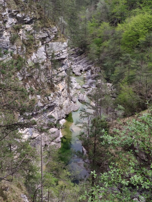 Escursione alle Pozze Smeraldine e al borgo fantasma di Frassaneit in Val Meduna - Image 3