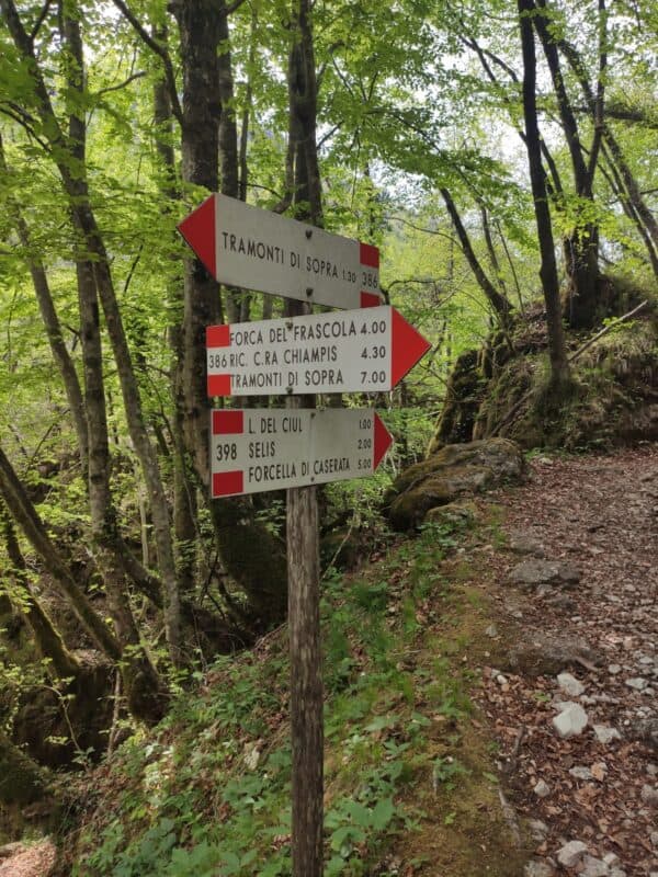 Escursione alle Pozze Smeraldine e al borgo fantasma di Frassaneit in Val Meduna - Image 4