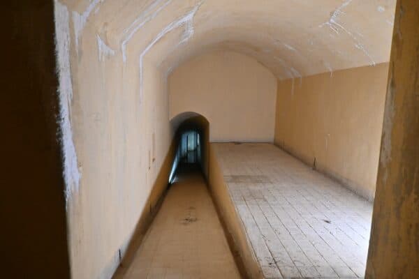 Escursione archeologica militare: alla scoperta della batteria perduta del Monte Alz - immagine 5