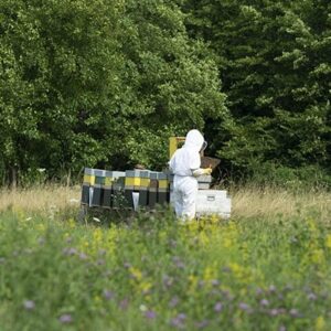 Anna Api Alla scoperta del territorio: escursione naturalistica, visita in ...