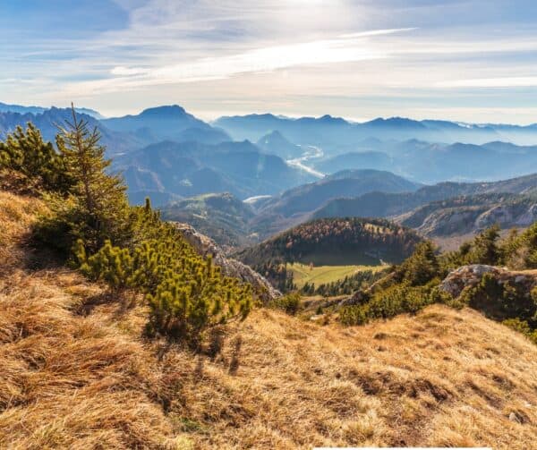 Escursione alla vetta del monte Salinchiet tra storia e natura totalizzante - immagine 3