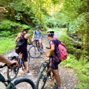 E-Bike Adventure: escursione guidata tra cascate, sorgenti e natura dell'Arzino