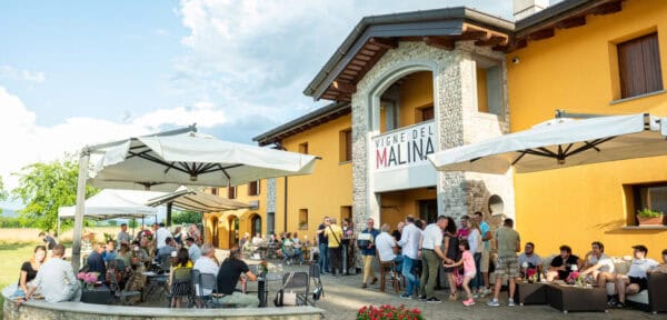Visita Guidata e degustazione vini presso Vigne del Malina - immagine 2
