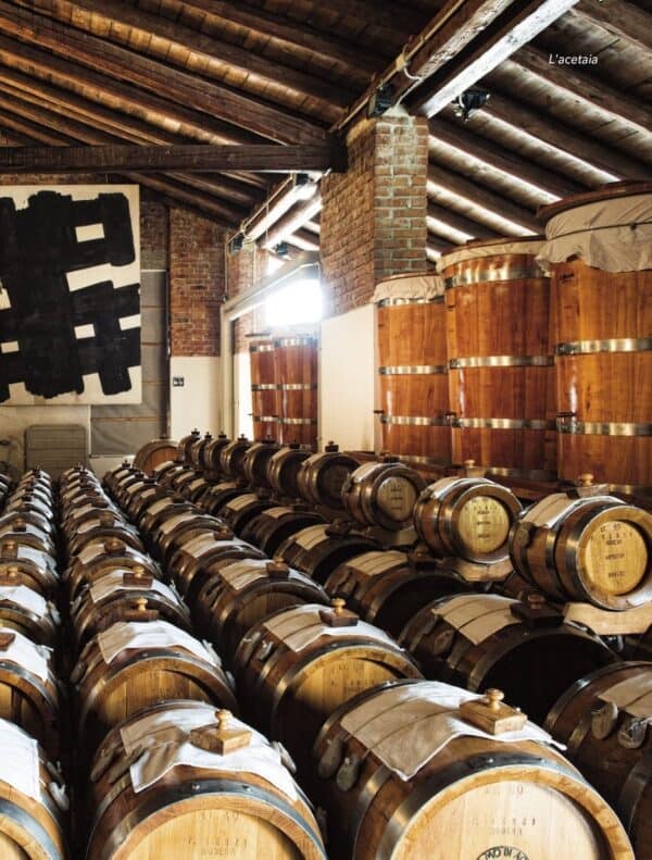 Degustazione Balsamica all’Acetaia più grande del mondo - Image 4
