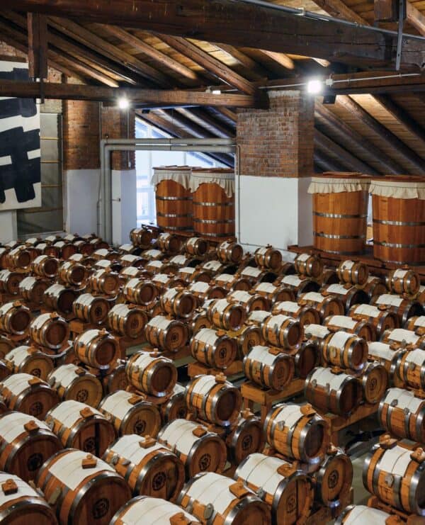 Degustazione Balsamica all’Acetaia più grande del mondo - Image 3