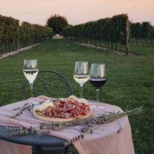 Degustazione completa vini, formaggi e salumi locali e visita presso la cantina I Magredi