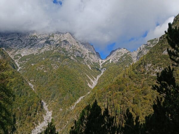 Trekking di 3 giorni nel Parco Naturale delle Dolomiti Friulane - immagine 4