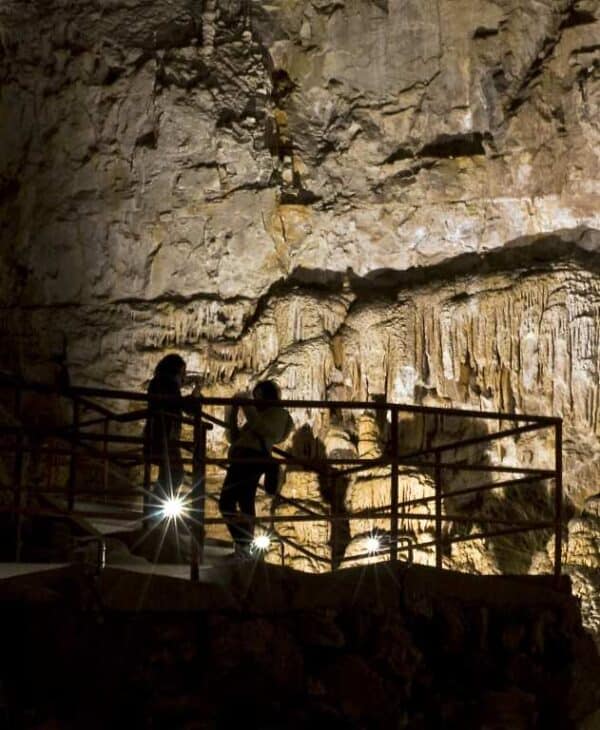 Biglietti d'ingresso e visita guidata alla Grotta Gigante - Image 6