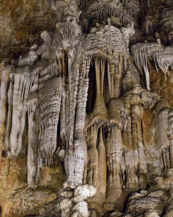 Biglietti d'ingresso e visita guidata alla Grotta Gigante - Image 5