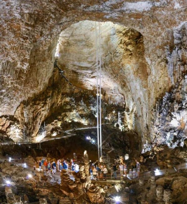 Biglietti d'ingresso e visita guidata alla Grotta Gigante - Image 2