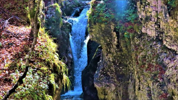 E-Bike Adventure: escursione guidata tra cascate, sorgenti e natura dell'Arzino - immagine 3