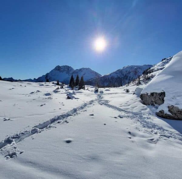 Escursione serale in motoslitta con cena in rifugio - immagine 4