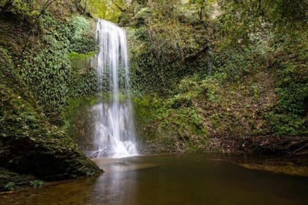 Biotope dell'acqua caduta: e-bike excursion between water and forests in the Pinzano al Tagliamento and Ragogna area